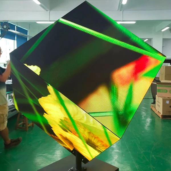 Exhibición creativa llevada